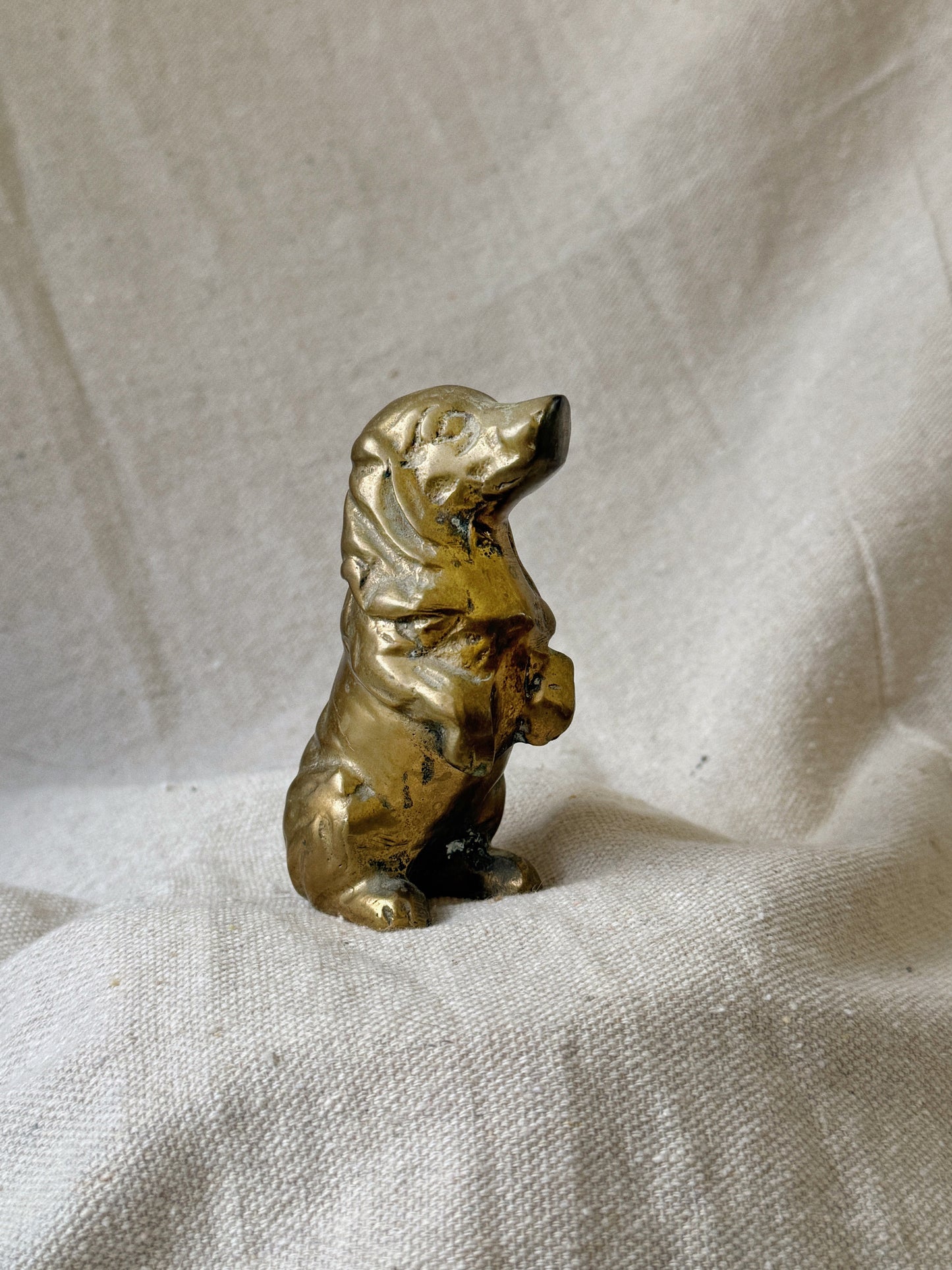 Begging Brass Dachshund