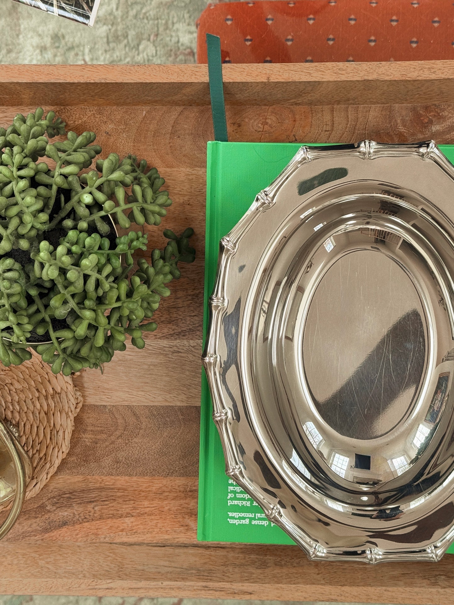 Silver Bamboo Tray