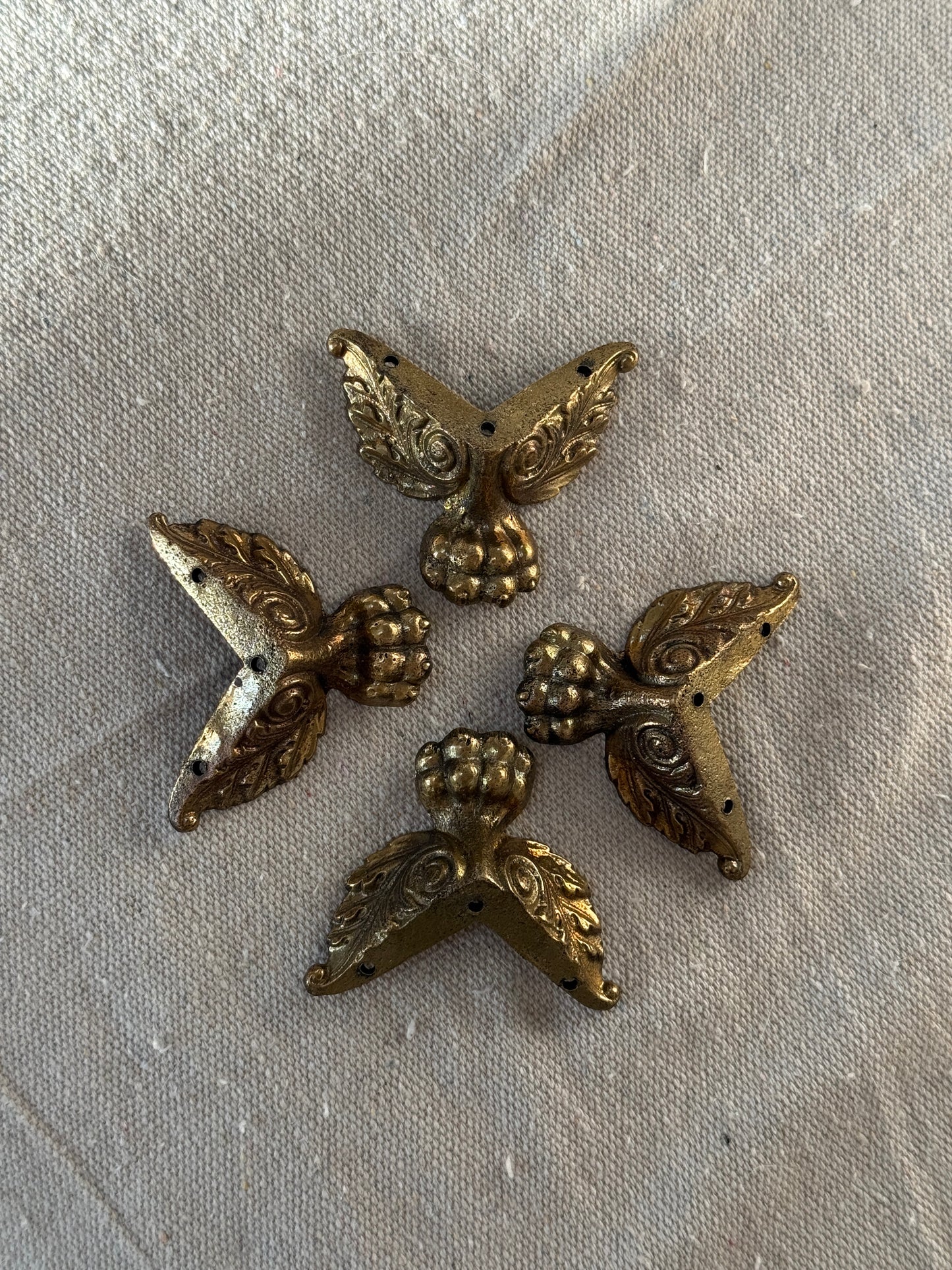 Lion Paw Feet