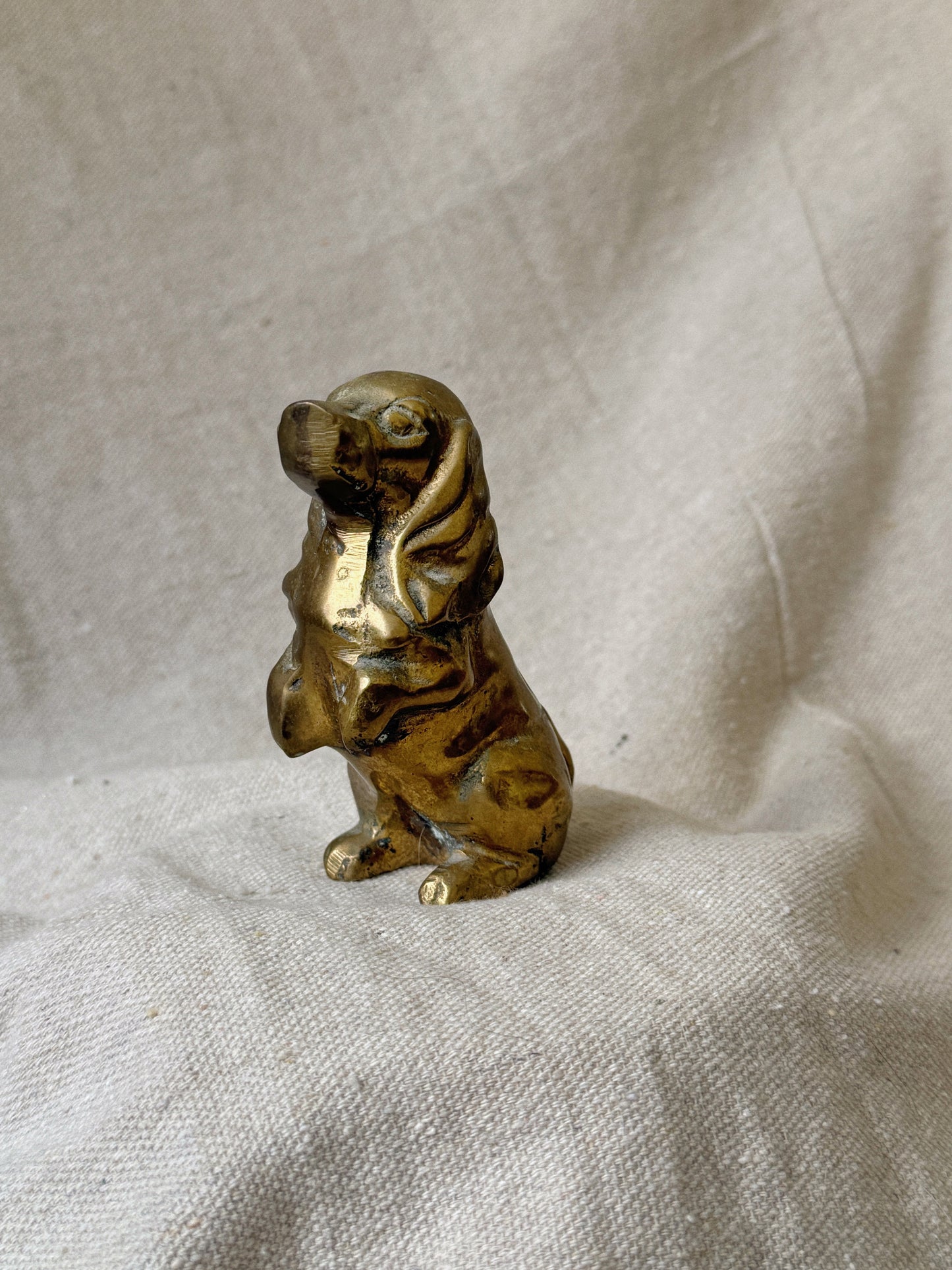 Begging Brass Dachshund