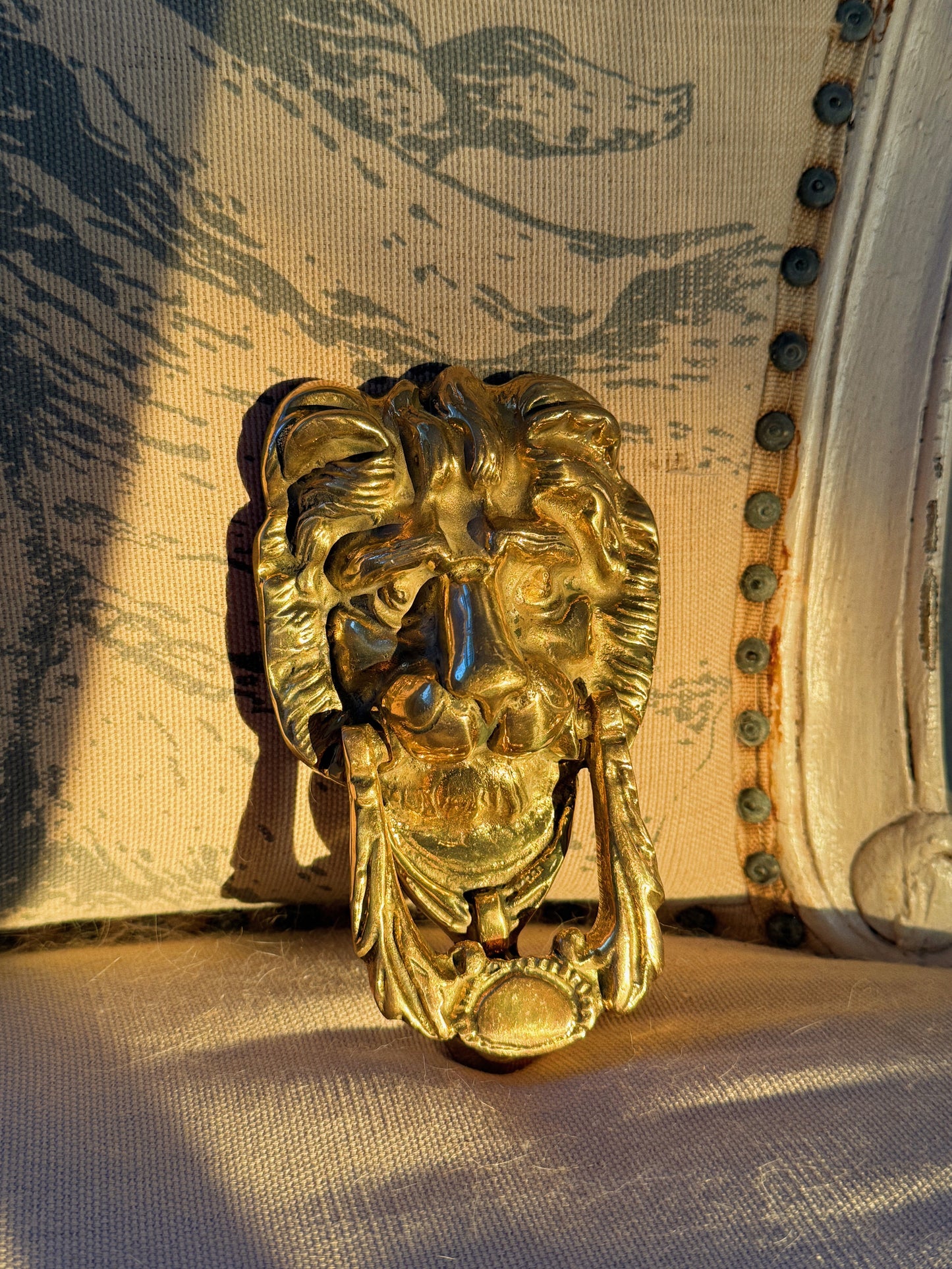 Vintage Lion Head Door
Knocker