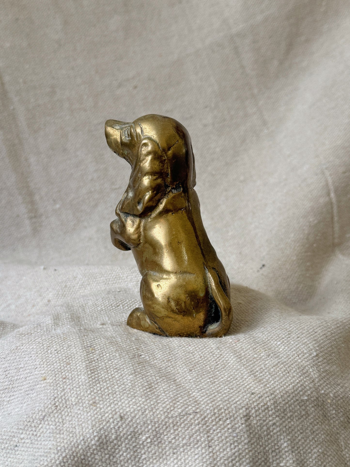 Begging Brass Dachshund