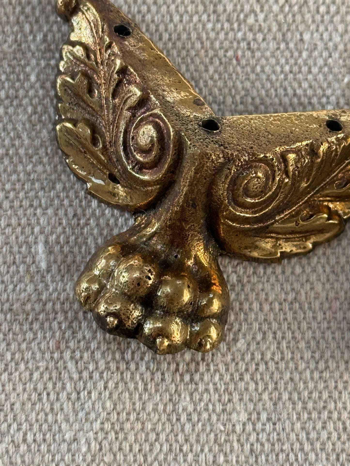 Lion Paw Feet